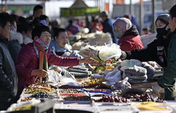 A glimpse of Spring Festival market in Ningxia