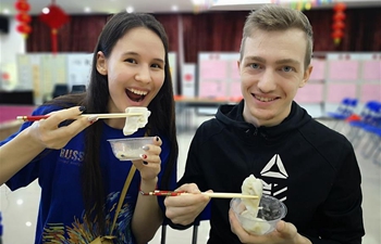 A bite of Spring Festival