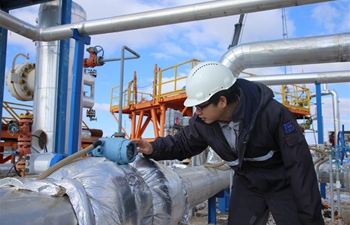 Feature: Chinese engineer stays on duty on Lunar New Year's Eve in Turkey