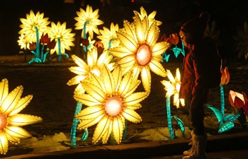 Chinese Lunar New Year celebrated across world