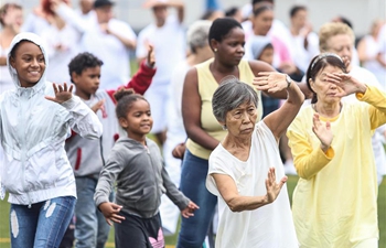Tai Chi Chuan practice held for Chinese Lunar New Year celebration in Sao Paulo