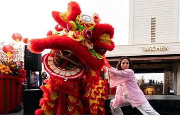 Chinese Lunar New Year celebrations held in Los Angeles