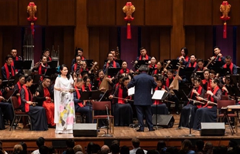 Concert featuring Chinese folk music charms audience in Washington