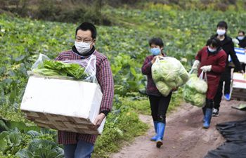 Yunyang County makes effort to increase vegetable supply, keep prices stable
