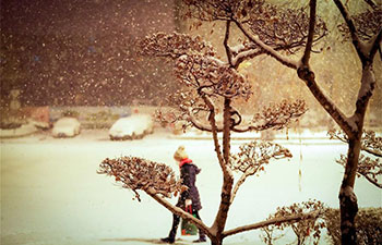 Snowfall hits NE China's Harbin