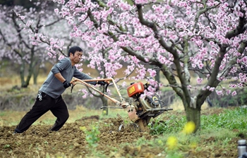 Villagers in Guizhou busy with farm work as weather gets warmer