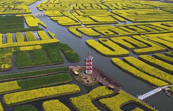 Scenery of cole flowers in Jiangsu