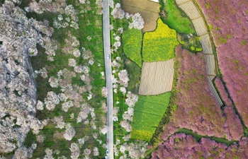 China witnesses colorful landscapes in spring