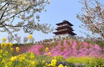 Blooming flowers seen across China