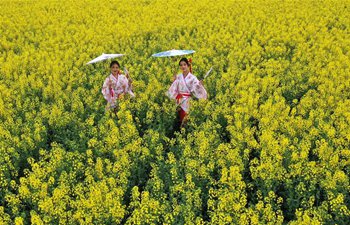 Tourists visit blooming cole flowers in Pingdingshan, Henan