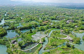 Scenery of Xixi National Wetland Park in Hangzhou, E China's Zhejiang