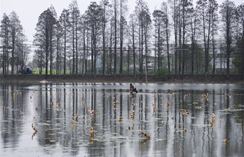 Village boosts efforts to build beautiful countryside in Huzhou, E China