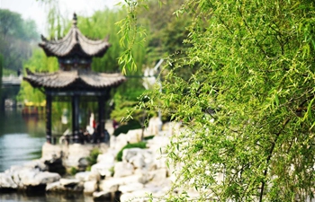 Spring scenery along moat in Jinan, east China