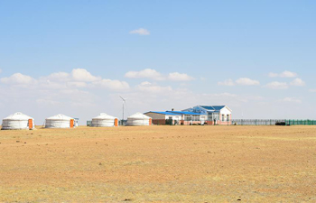 "Spring break" for vast grassland in north China