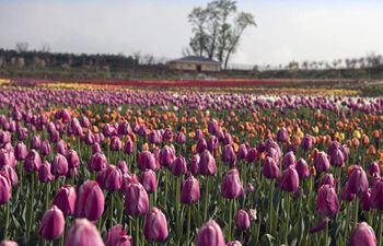 Scenery of flora park in Luonan County, Shaanxi Province