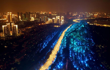Light show themed on fighting COVID-19 staged in Wuhan