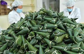 Vegetarian Zongzi wins popularity among customers
