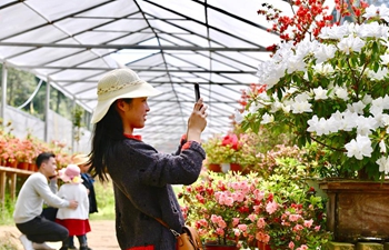 Flower industry helps locals increase income in Zhouning, Fujian