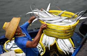 Fishing industry resumes operation in Hainan