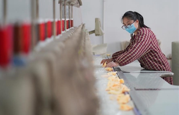 Poverty alleviation workshops resume production orderly in Neiqiu, Hebei