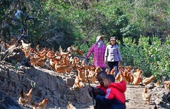 Pic story: rural economy boosts family income in Guangxi