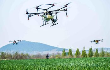 Xinhua photos of the day