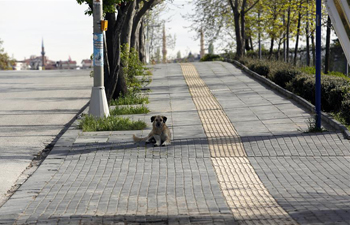 Turkey confirms 3,122 new COVID-19 cases, 104,912 in total