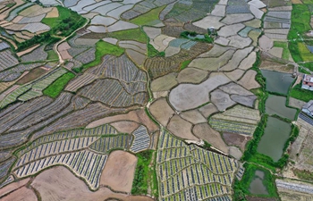 Farmland scenery in south China