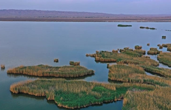 Scenery of Tianhu National Wetland Park in Ningxia