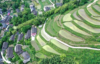In pics: terraced fields in Hubei