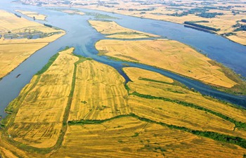 Aerial view of wheat field in Jiangsu