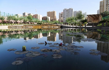 Hotan City takes on new look with improved living environment in NW China's Xinjiang
