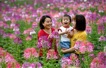 People enjoy their time at flower field