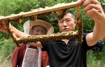 Pic story of beekeeping specialist in Hebei