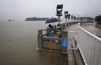 China's Wuhan ups flooding response level to second highest