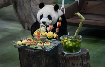 Giant panda celebrates 7th birthday in Taipei