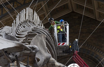 Natural History Museum makes preparation for reopening in London