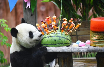 Birthday party held for giant pandas at panda hall of Siberian Tiger Park in Changchun