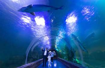 Tourists visit fish culture museum in Heilongjiang