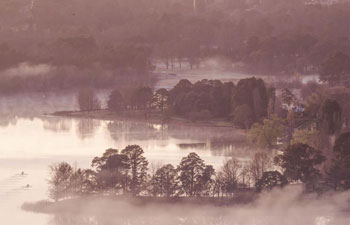 In pics: morning fog scenery in Canberra, Australia