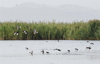 Bostan Lake of Bohu County, China's Xinjiang