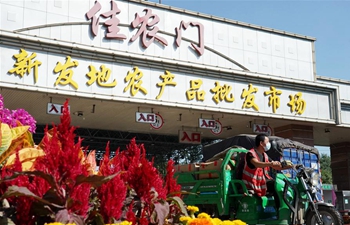 Xinfadi wholesale market resumes in Beijing