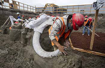 Bones of mammoth skeletons found at construction site of airport in Mexico