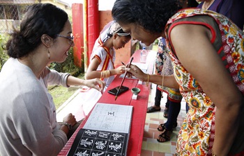 Feature: Chinese cultural activities enter Fijian village