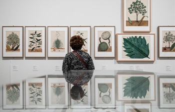 Asian botanical art exhibition held in Madrid