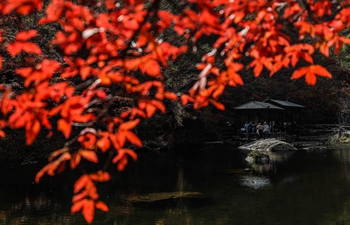 Autumn scenery in northeast China