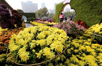 People enjoy chrysanthemums displayed at exhibition in Shijiazhuang