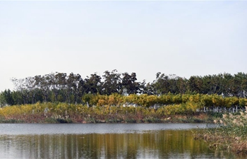 View of wetland park in Tianjin
