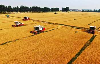Farmers embrace bumper harvest across China