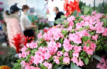 Flowers become popular among customers in Liaoning as Spring Festival nears